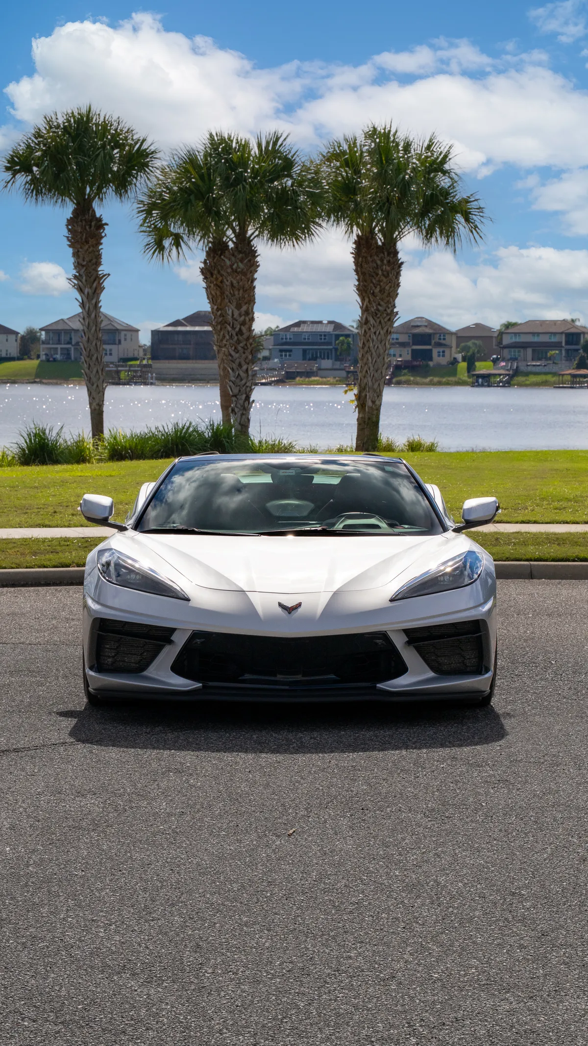 Chevrolet Corvette Stingray (C8) thumbnail 2