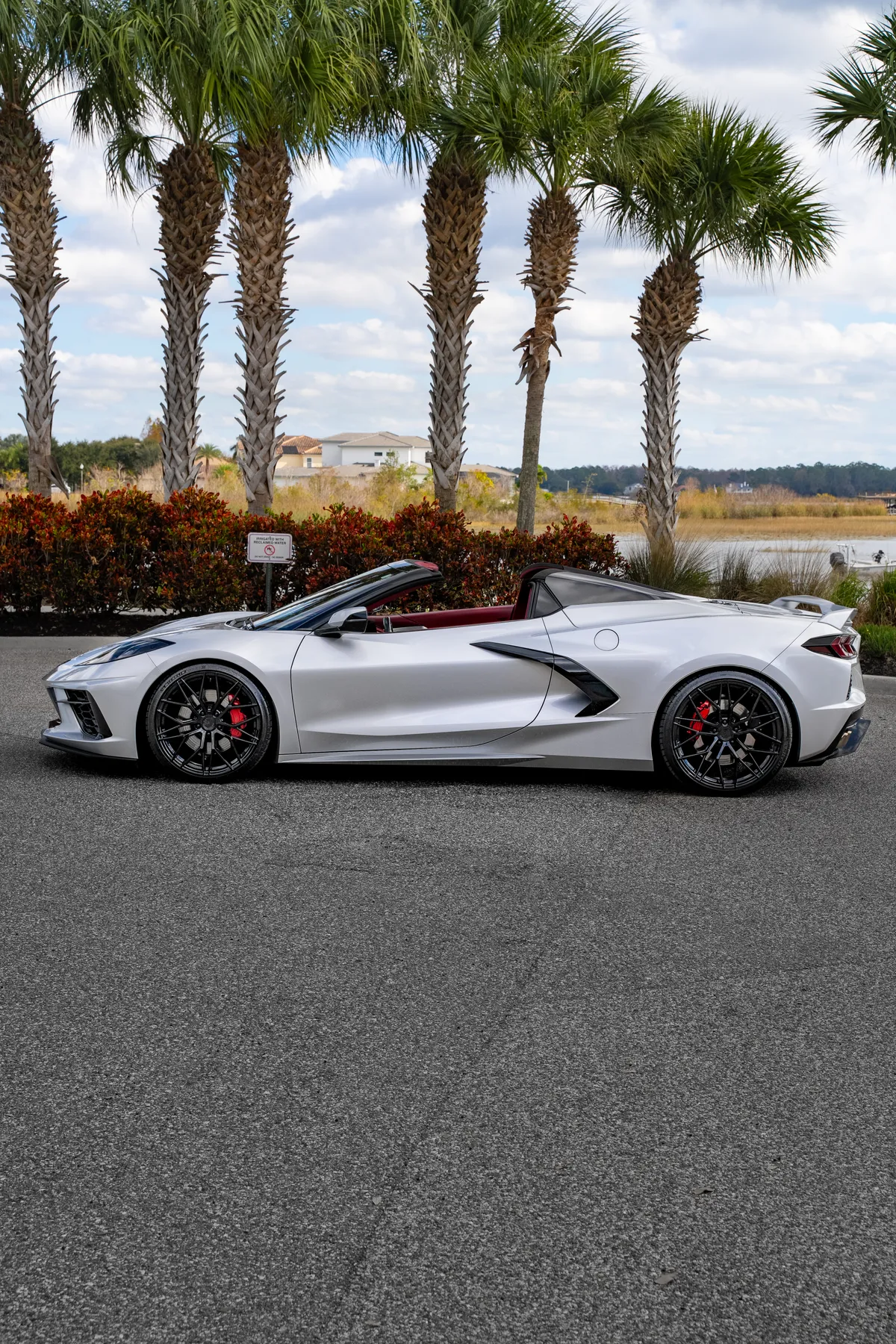 Chevrolet Corvette Stingray (C8) thumbnail 3
