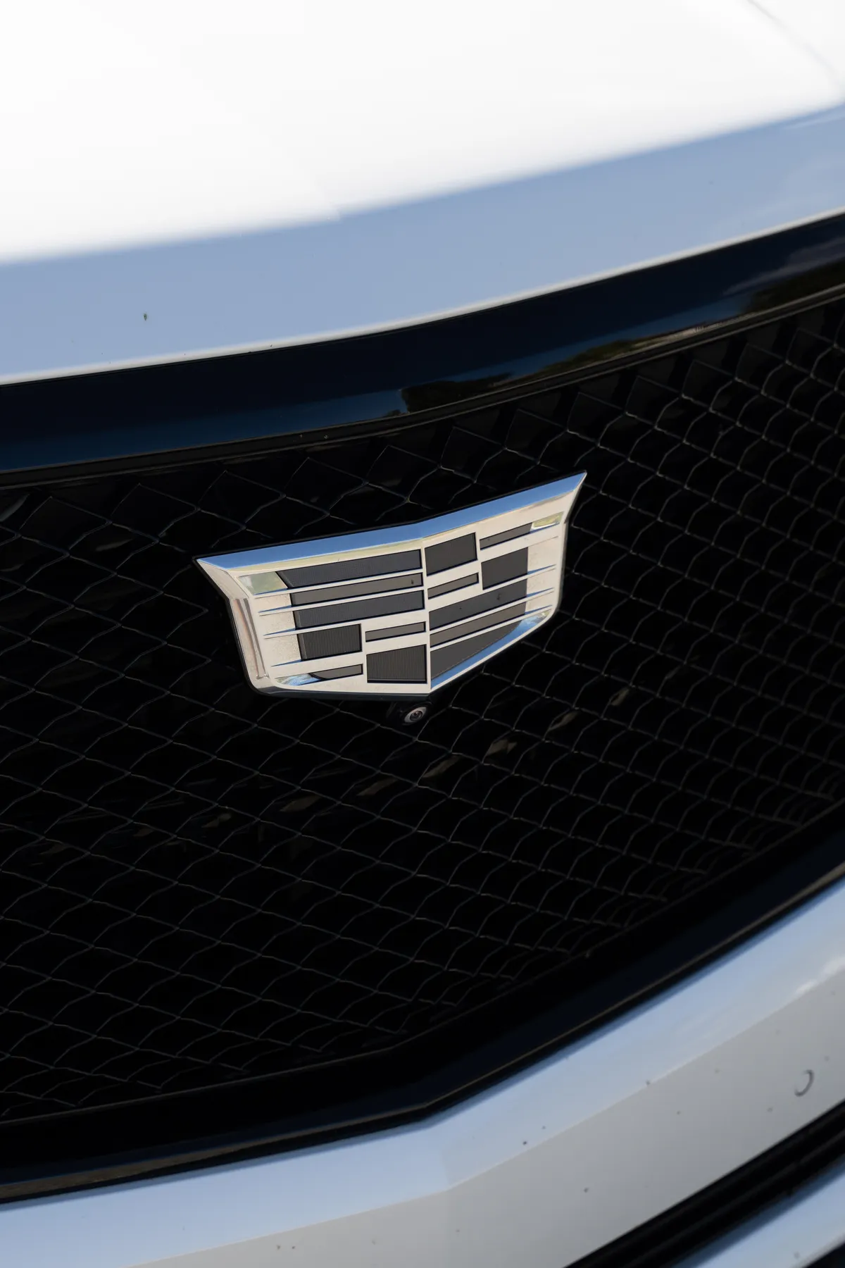Cadillac Escalade ESV thumbnail 3
